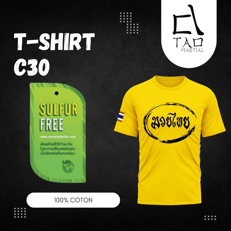 TAO MARTIAL Muay Thai T-Shirt, Tshirt 100% Cotton, Light and Soft, Model C30, Marigold, Size M - Image 2